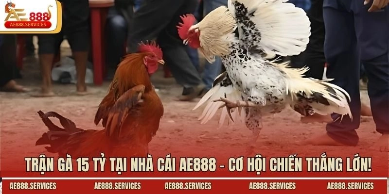 Trận Gà 15 Tỷ Tại Nhà Cái AE888 – Cơ Hội Chiến Thắng Lớn!